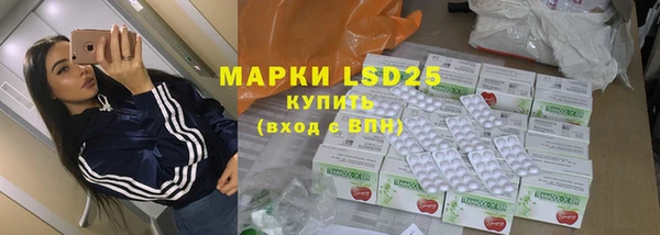 ECSTASY Горняк