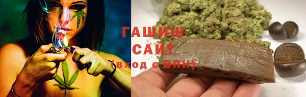 ECSTASY Горняк