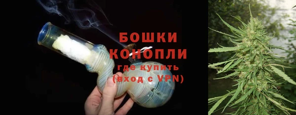 ECSTASY Горняк