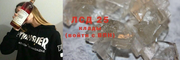 ECSTASY Горняк