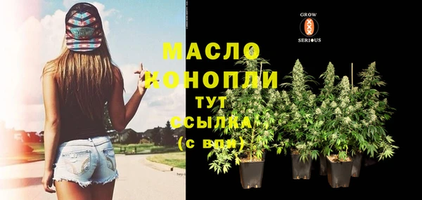 дживик Гусь-Хрустальный