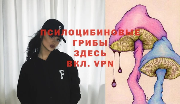 jwh Горно-Алтайск